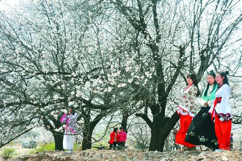 太阳成集团tyc1050集团总部大楼概念图